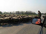 ...és egy kis forgalmi akadály :)