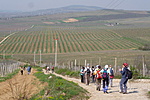 a Vylyan birtok