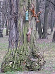 Mókusok