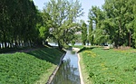 A torkolat