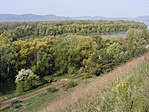 a kilátás