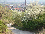 út