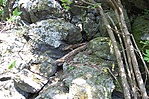 Rejtek
