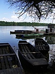 Csendélet