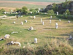 szanaszét