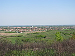 Táj