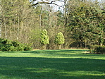 Arborétum2