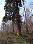 Közelről