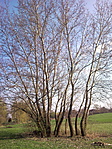 A helyszín