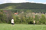 A frizbizés