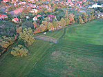 Balra a rejtek fa