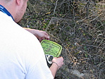 Tomi_Bp és a doboz :D