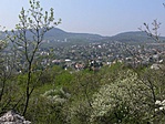kilátás és virágok