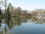 Tó