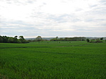 Visszafelé