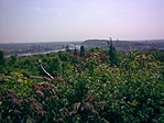 Panoráma