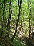 Patakvölgy