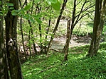 A forrás környéke
