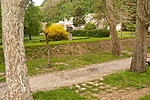 a park