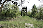 Kilátó