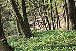 Pihenők a forrásnál