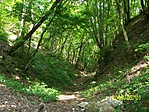 Árok