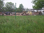 a hegyől jövet