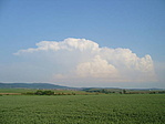 Puszta
