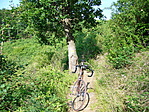 A sárga jelzésen