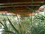 3.pont alulnézetben