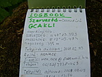 Logbook részlet...