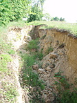 A "királyi út"
