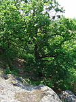 Rejtek.