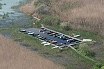 Csendélet