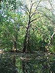 Kubikgödör 2