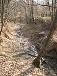 Királykút