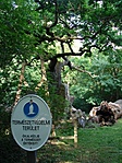 Alátámasztva