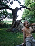 Eszter a fánál