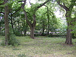 A közelben