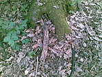 Visszatakarva