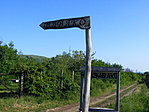 irány