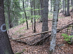 Jelzések