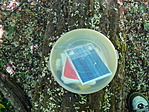 A láda