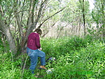 loggolás