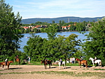 Lovasiskola