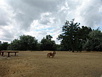 Dombtetőn