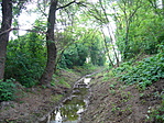 Fő patakmeder