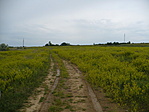 odafelé