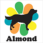 Almond