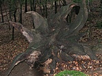 érdekes